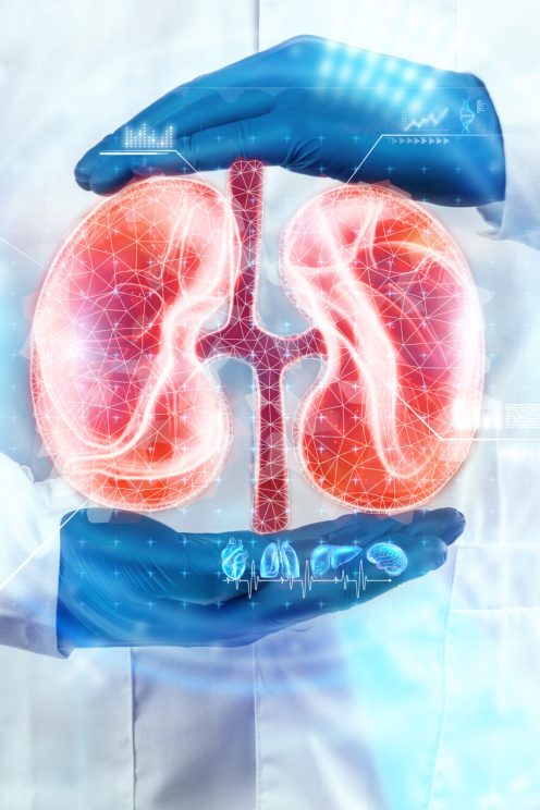 The doctor looks at the kidney hologram, checks the test result on the virtual interface and analyzes the data. Kidney disease, stones, innovative technologies, medicine of the future